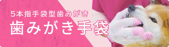 5本指手袋型歯磨き手袋